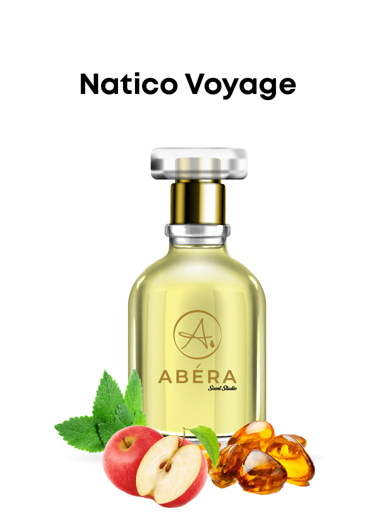 Natico Voyage