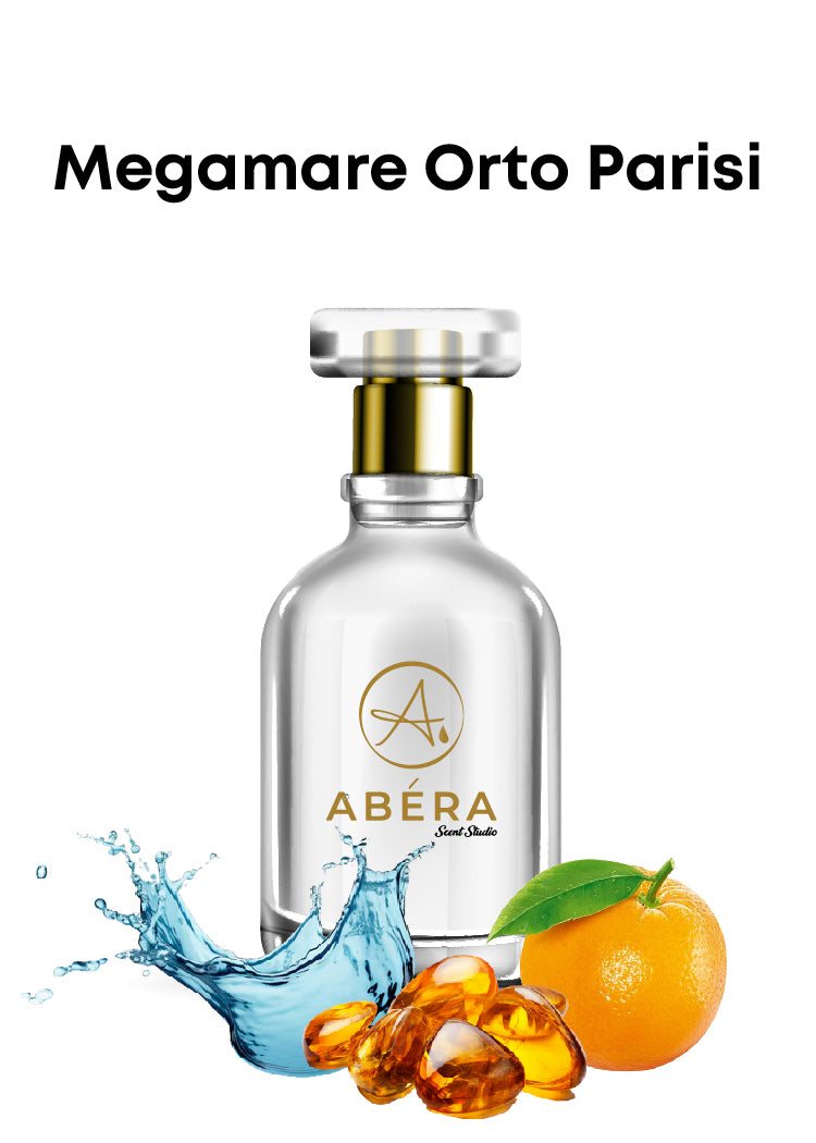 Megamare Orta Parisi